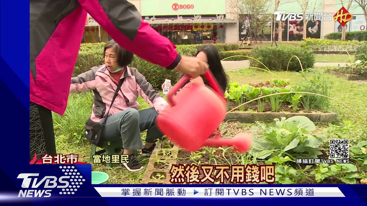 天母公園偷拔青菜 婦自備塑膠袋被揪後落跑