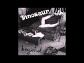 Dinosaur Jr. - Been There All the Time 