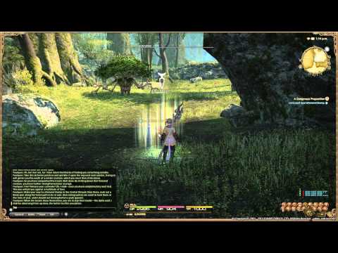 Final Fantasy XIV  A Realm Reborn - Lancer Lv 15 Quest - A Dangerous Proposition