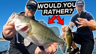 Big Bass vs. Numbers: Would You Rather Catch One Giant or Tons of Fish?