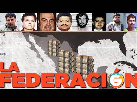 The Federation: The Cartel of Cartels