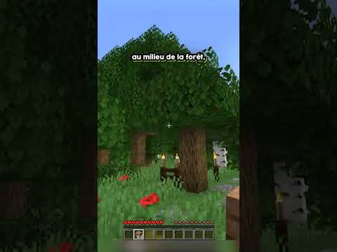 Multicort - The Worst Forest in Minecraft?!
