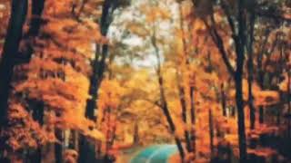 Gerard Way - Into The Cave We Wander (traducida)