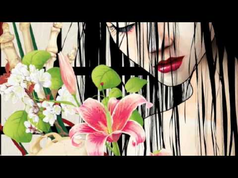 Videoclip de Bachelorette (RZA Remix) — Björk