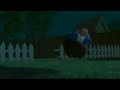 Chicken Little Runt Tries To Jump The Fence