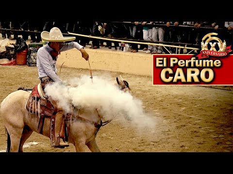 Piales - 2022 Campeonato Millonario THV - Piales en el Lienzo - 02 septiembre