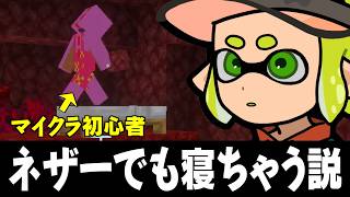 初心者で遊ぶマインクラフト【5日目】