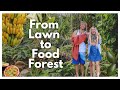 we turned our yard into a food forest during quarantine epic garden tour