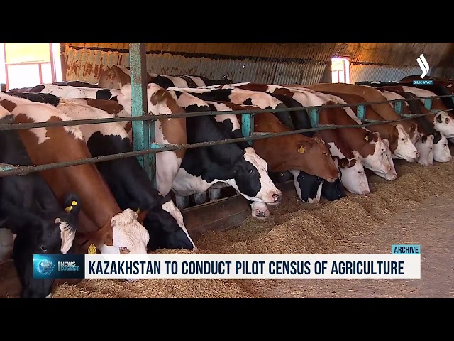 Пилотную сельхозперепись проведут в Казахстане
