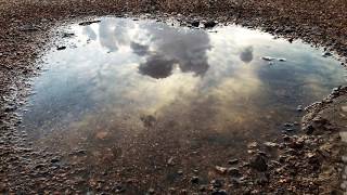 Download lagu Joji - Don't Rain on Me mp3 Download lagu Joji - Don't Rain on Me mp3