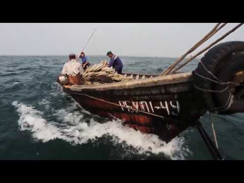 01. Династия Сибиряковых. Сибирская история (часть первая).