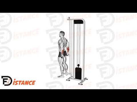 Exercice Curl des poignets derrière le dos à la poulie