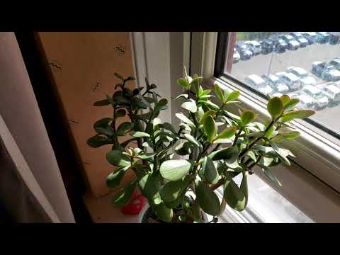 SAMSUNG GALAXY A90 5G,  4K Video Camera test ( UHD, 16:9, 3840×2160 ) REVIEW.