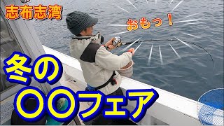 最近高値で取引されている○○が連チャン！体に良い魚が良く釣れる！#青魚#体に良い魚#高級魚#船釣り
