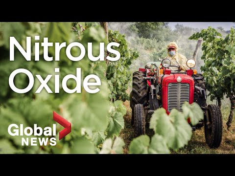 What is nitrous oxide?