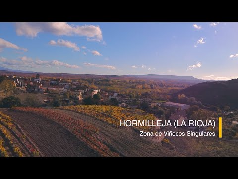 𝙃𝙤𝙧𝙢𝙞𝙡𝙡𝙚𝙟𝙖 | 𝙍𝙄𝙊𝙅𝘼 𝘼𝙇𝙏𝘼