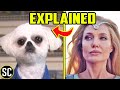 The ETERNALS, Explained to a Dog