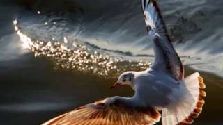 CAFE DEL MAR - I hope the yesterday