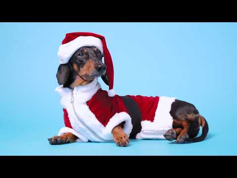 Tjugondag knut - nu ska allt det gamla ut!