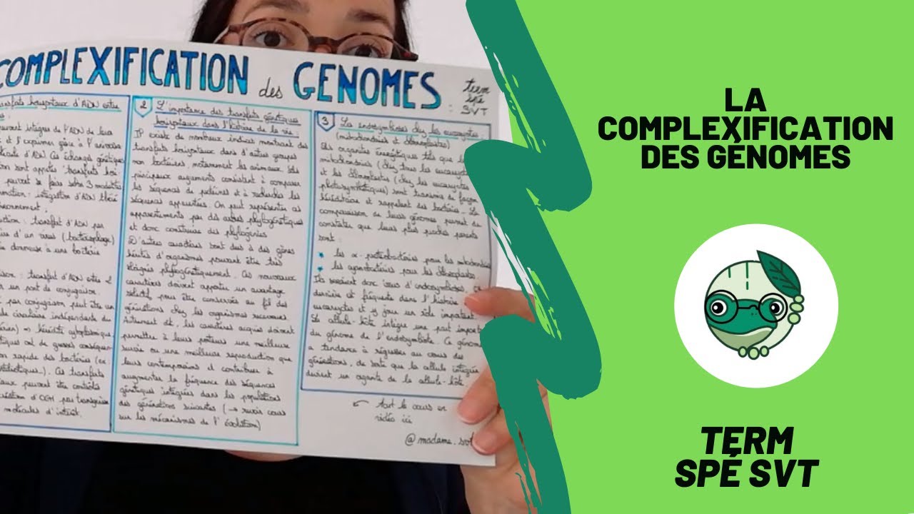 La complexification des génomes - Term spécialité SVT - Madame SVT