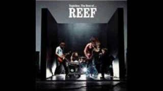 Reef - Give me your love
