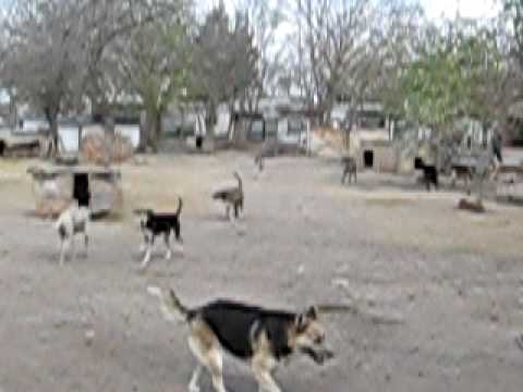 sábados en el refugio...