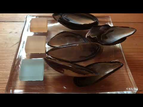 Venusisches Liebes-Orakel ab dem 21.06.2018