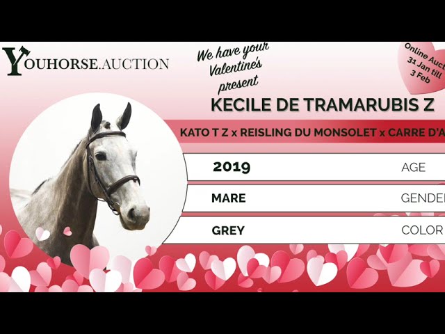 Kécile De Tramarubis showvideo