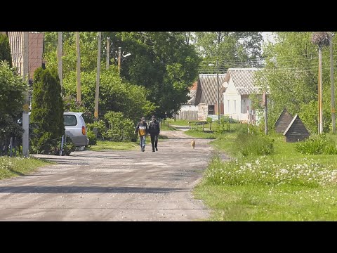Волки атакуют деревню в Гомельском районе видео