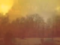 Fire In the Forest - David Sylvian (ReadyMade Fc Remix)