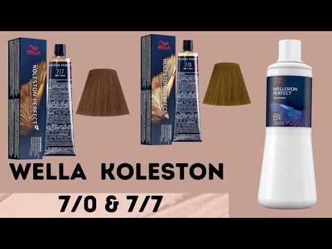 Wella Koleston 7/0 & 7/7 Grey Hair Coverage Using 6% Welloxon Developer