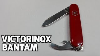 Victorinox Bantam Red (0.2303) - відео 4