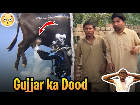 Gujjar Ka Doodh | Comedy Video | Crazy TV