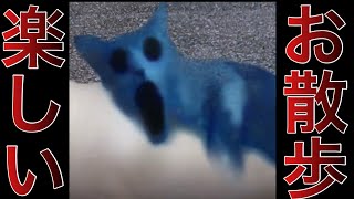 休日はお散歩しよう【つぐのひ~ねこのひ怪奇譚~】
