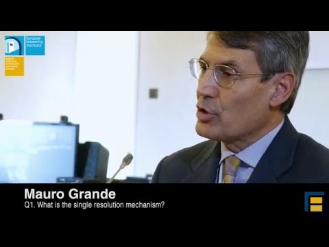 Starting-up the Single Resolution Mechanism: Talking to Mauro Grande (Single Resolution Board)