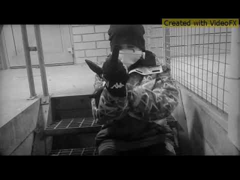 SHURDA - RIP CLUELESS SWEDE (Gribby Gang musikvideo)