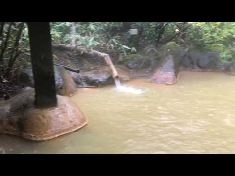 カイラル アーティスト