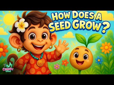 HOW DOES A SEED GROW | Official Music Video | CHEEKY BAND Music Ep 49