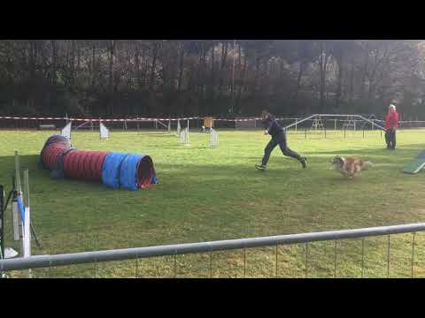 Leni Halloweenturnier 2018.2