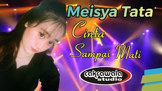 Download lagu Meisya Tata - Cinta Sampai Mati  | Dengarkanlah di sepanjang malam aku berdoa mp3