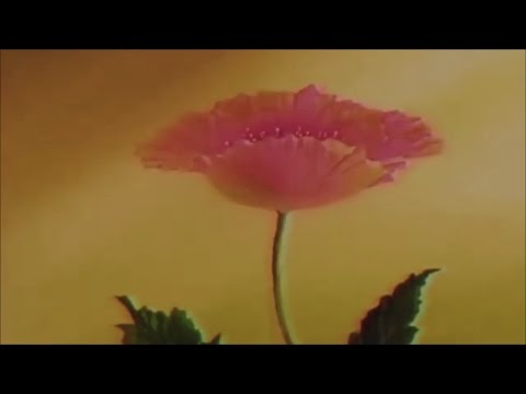 beatmachinearon - roses