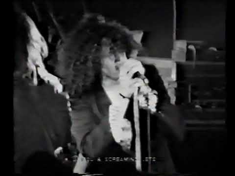 The Screaming Jets - Live At Wagga '91