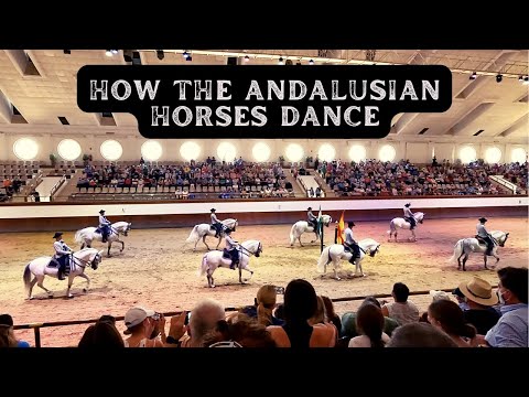 How The Andalusian Horses Dance - The Royal Andalusian School of Equestrian Art, Spain