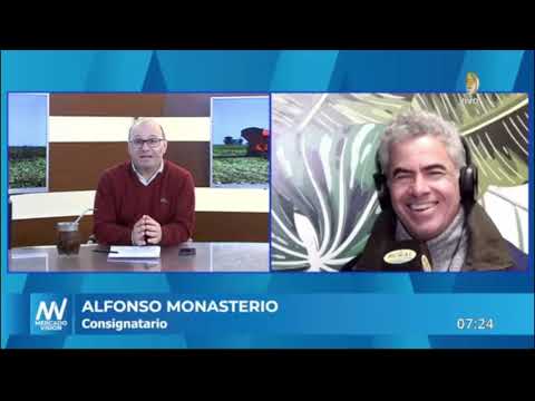 Alfonso Monasterio - MONASTERIO TATTERSALL S.A