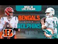 Cincinnati Bengals Vs Miami Dolphins Week 16 Live Stream Reaction
