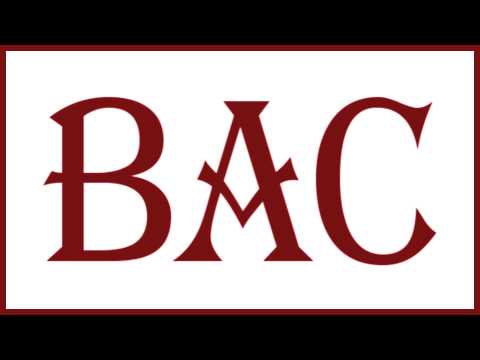 Bunch Of Assholes - Пийм Бира (Official Lyrics Video)