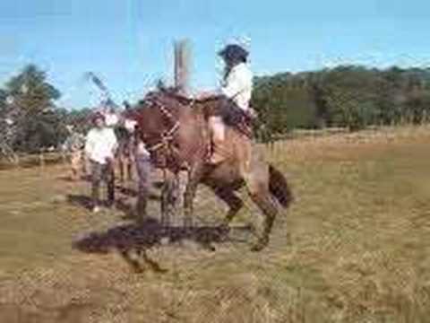 Ginetiadas na Santa Margarida - Bage - RS