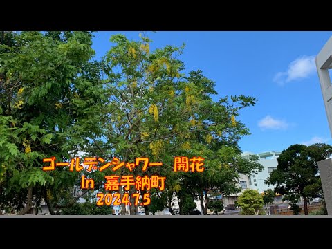 ゴールデンシャワー