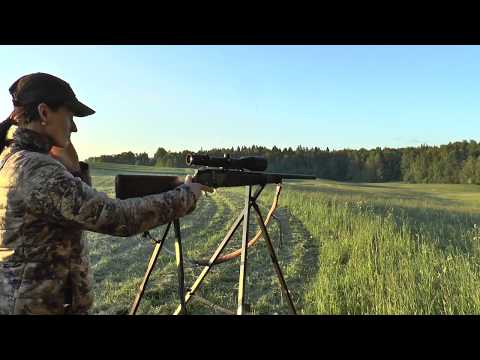 Jagdglück in Masuren - 2 Rehböcke auf der Abendpirsch erlegt! Succesfull hunting in Masuria!