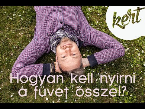 gengszter ütés leszokni tervezett dohányzásról